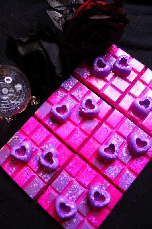 Bookish Wax Blocks