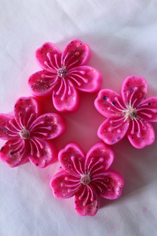 Sakura Cheesecake